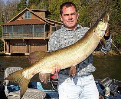 Musky Fishing