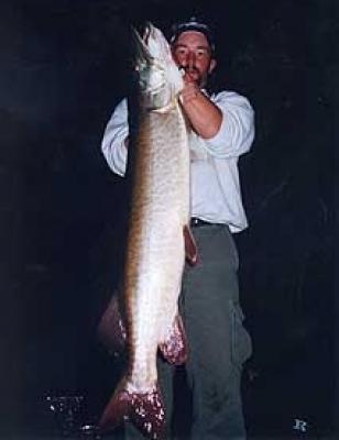 Wisconsin Musky Fishing Guide Service