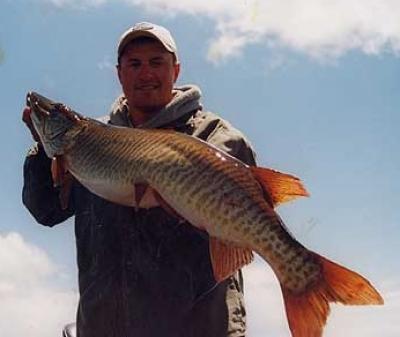 Muskie Fishing