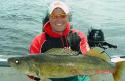 Walleye Fishing Guide Trips