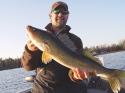 Muskie Fishing