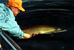 Rob Manthei Wisconsin Fishing Guide Tips